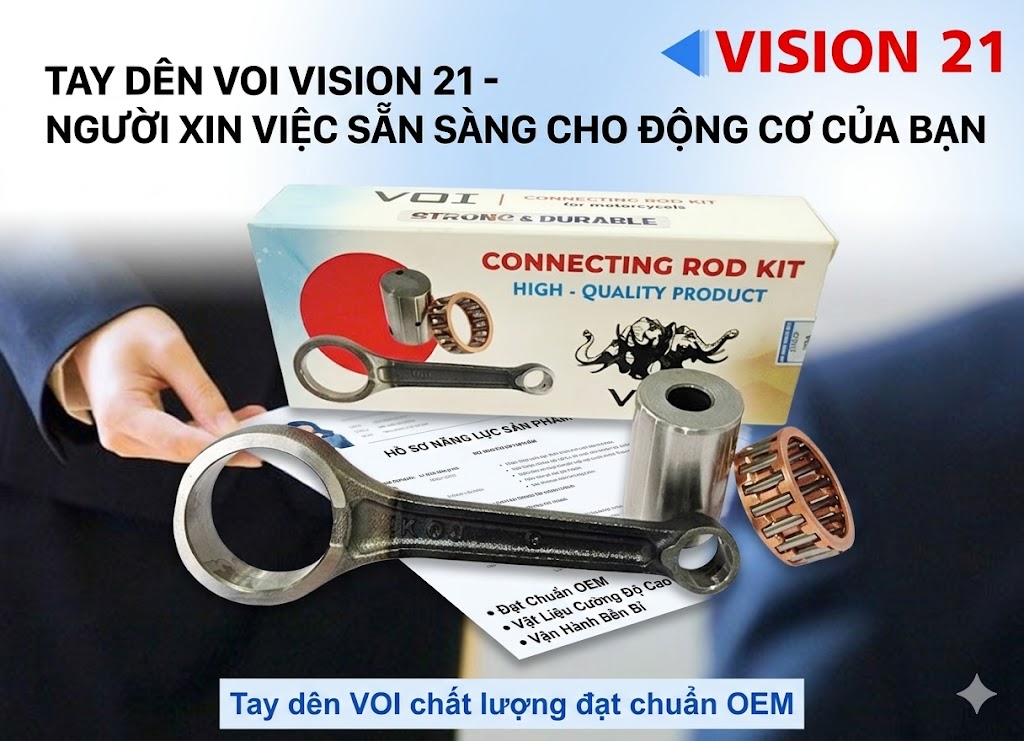 tay-den-VOI-VISION